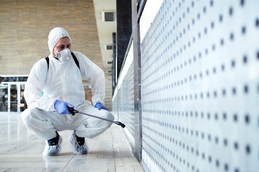 Choosing the Right Pest Control in Sharjah: What Really Matters