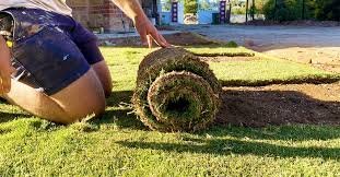 The Best Time to Plant a Seeded Lawn in Adelaide